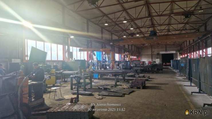 , Lokal użytkowy  do wynajęcia, Zabrze, ul. 