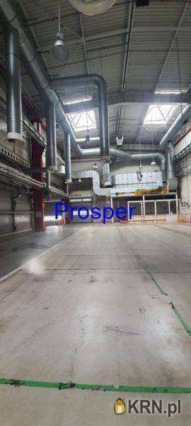 Lokal użytkowy  do wynajęcia, , Bielsko-Biała, ul. 