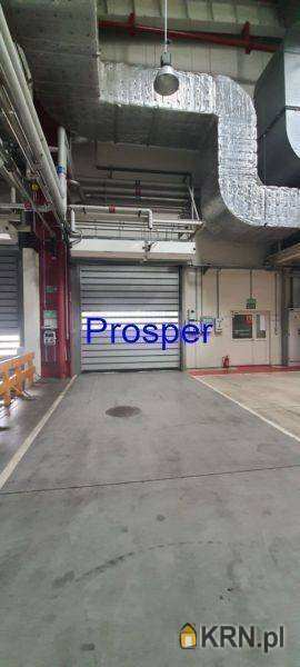 Bielsko-Biała, ul. , Lokal użytkowy  do wynajęcia, 