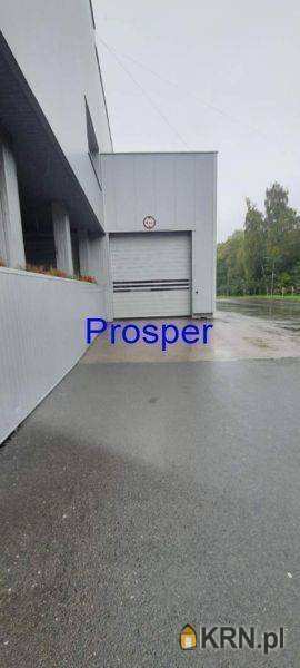 Bielsko-Biała, ul. , , Lokal użytkowy  do wynajęcia