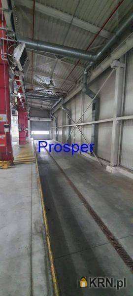 , Bielsko-Biała, ul. , Lokal użytkowy  do wynajęcia