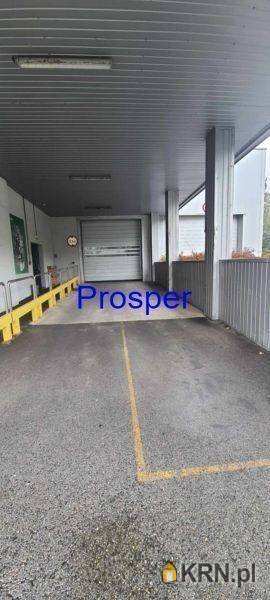 Lokal użytkowy  do wynajęcia, Bielsko-Biała, ul. , 