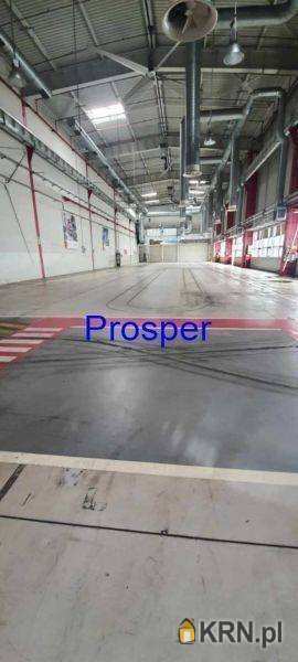 Lokal użytkowy  do wynajęcia, , Bielsko-Biała, ul. 