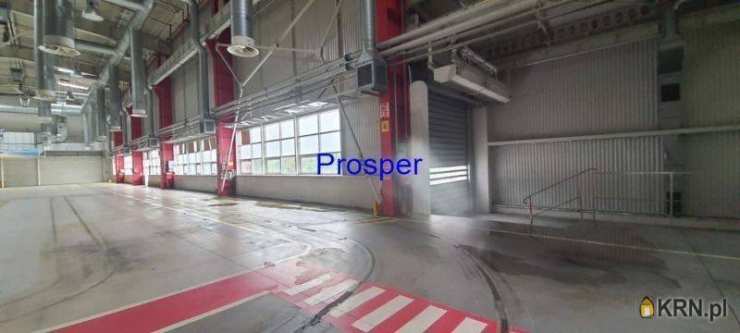 Bielsko-Biała, ul. , Lokal użytkowy  do wynajęcia, 