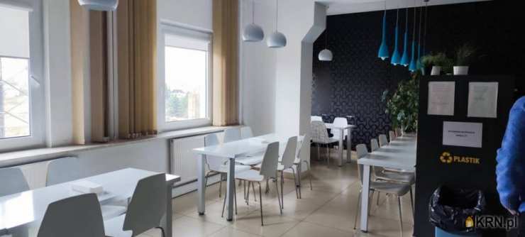 41 pokojowe, Zamość, ul. , Lokal użytkowy  do wynajęcia