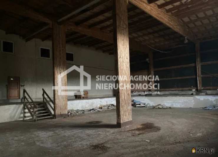 Sieciowa Agencja Nieruchomości Grupa Renoma, Lokal użytkowy  do wynajęcia, Łebieniec, ul. 