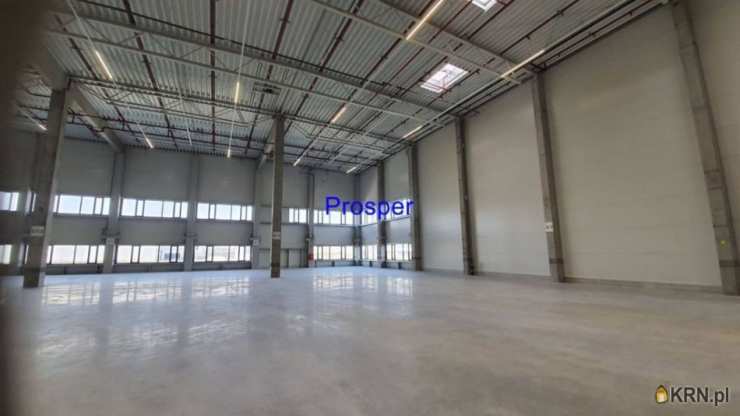 Lokal użytkowy  do wynajęcia, Ruda Śląska, ul. , 