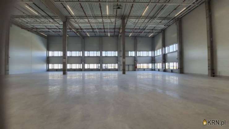 Lokal użytkowy  do wynajęcia, , Ruda Śląska, ul. 