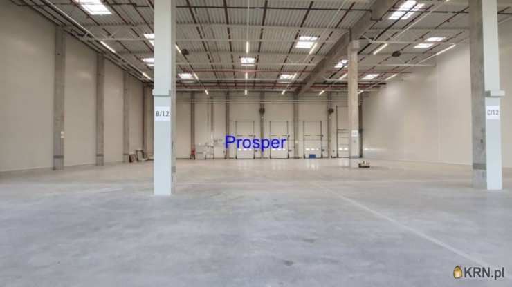 Ruda Śląska, ul. , Lokal użytkowy  do wynajęcia, 