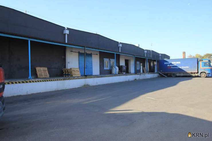 Radom, ul. Chorzowska, , Lokal użytkowy  do wynajęcia