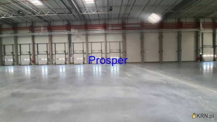 Lokal użytkowy  do wynajęcia, Zabrze, ul. , 