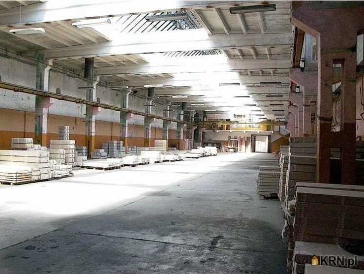 Lokal użytkowy  na sprzedaż, Dzierżoniów, ul. , 