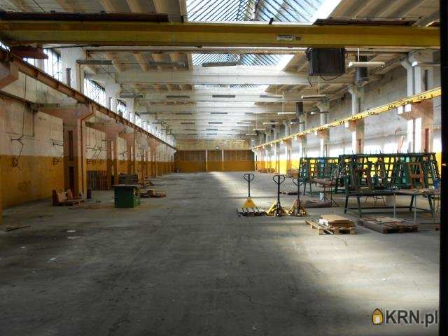 Dzierżoniów, ul. , Lokal użytkowy  na sprzedaż, 