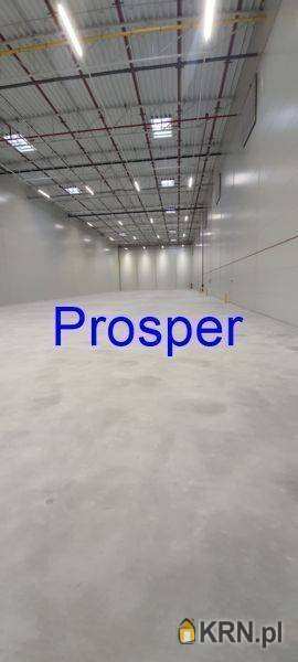 Lokal użytkowy  do wynajęcia, Ruda Śląska, ul. , 