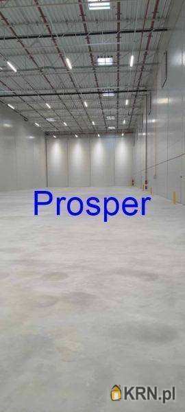 Lokal użytkowy  do wynajęcia, , Ruda Śląska, ul. 