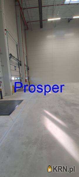 Ruda Śląska, ul. , Lokal użytkowy  do wynajęcia, 