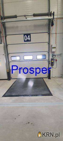 Ruda Śląska, ul. , , Lokal użytkowy  do wynajęcia