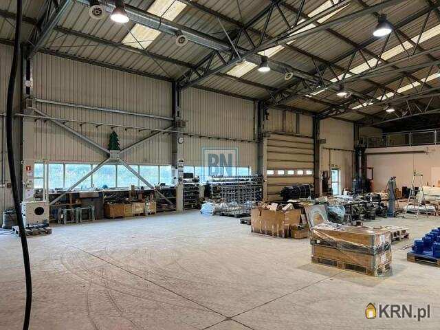 Lokal użytkowy  do wynajęcia, Knurów, ul. , 6 pokojowe