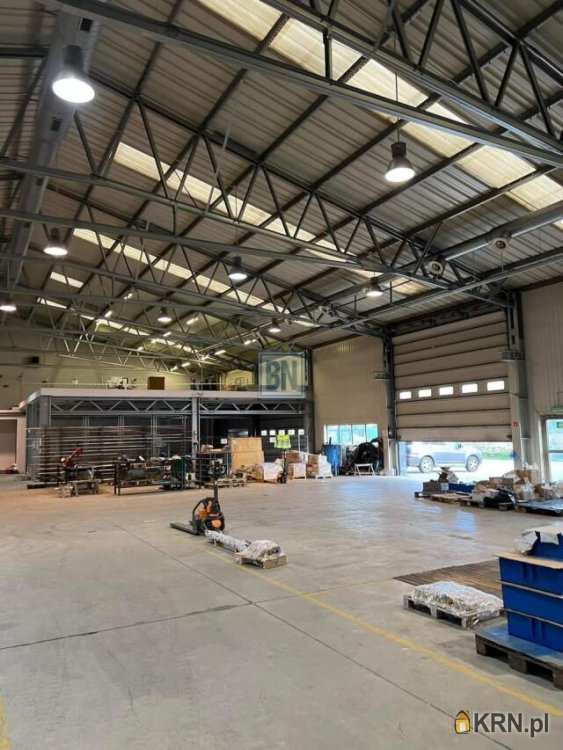 Knurów, ul. , Lokal użytkowy  do wynajęcia, 6 pokojowe