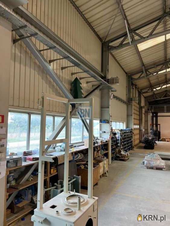 Knurów, ul. , 6 pokojowe, Lokal użytkowy  do wynajęcia