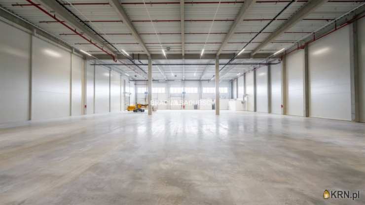 Kraków, Bronowice, ul. , Lokal użytkowy  do wynajęcia, 