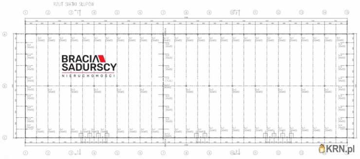 Bracia Sadurscy Oddział BS3 Przewóz, Lokal użytkowy  do wynajęcia, Kraków, Bronowice, ul. 