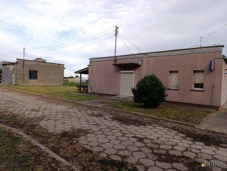 Lokal użytkowy  na sprzedaż, Strzelce, ul. , 