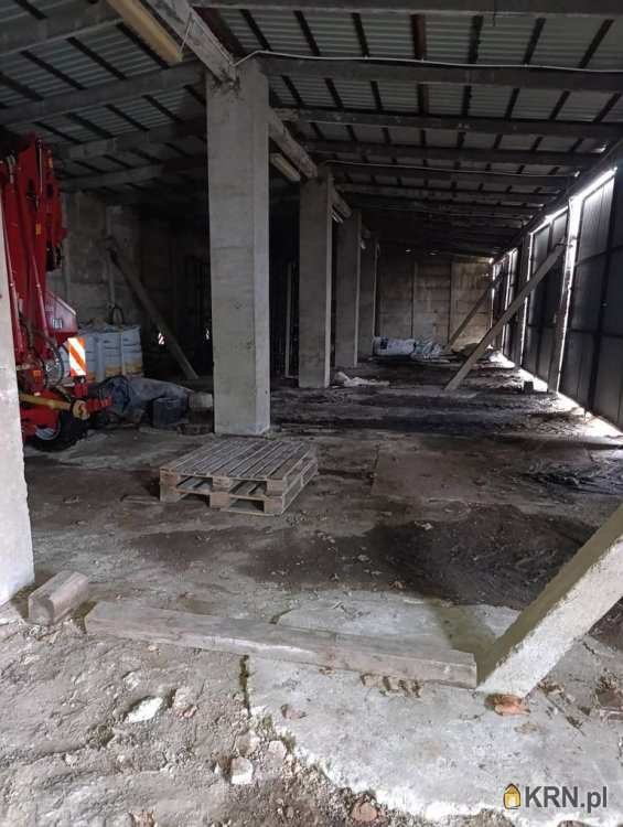 Strzelce, ul. , Lokal użytkowy  na sprzedaż, 