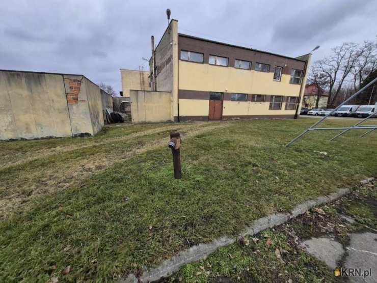 Lokal użytkowy  na sprzedaż, Głubczyce, ul. , 