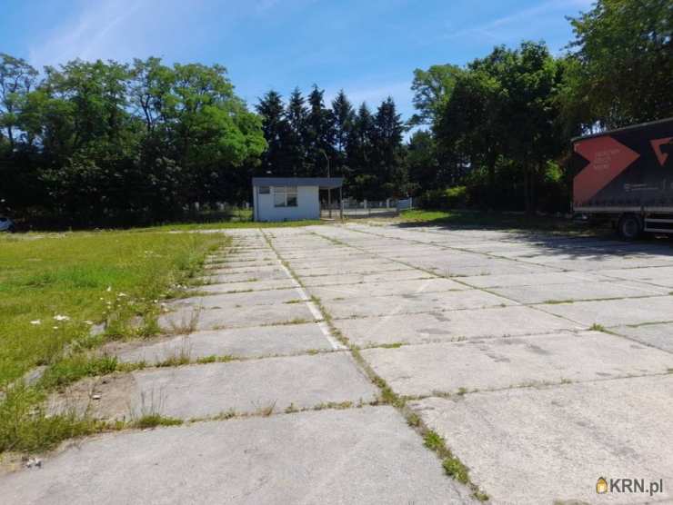 Głubczyce, ul. , Lokal użytkowy  na sprzedaż, 