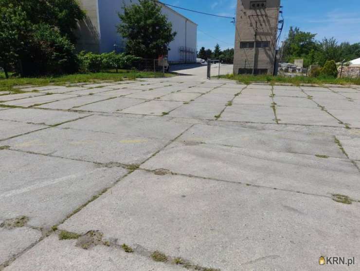 Głubczyce, ul. , Lokal użytkowy  na sprzedaż, 