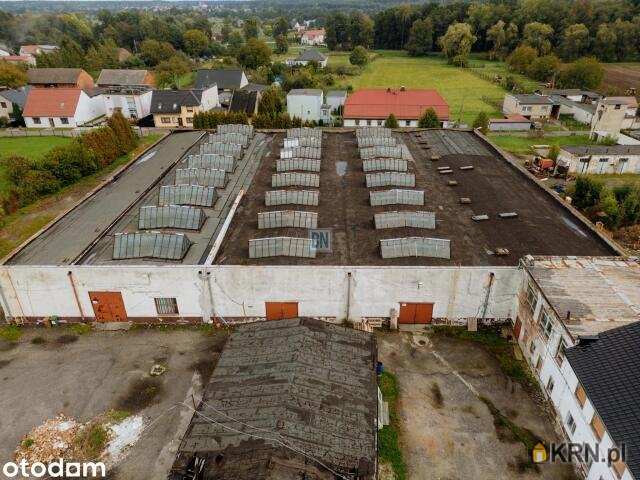 Ujazd, ul. , Lokal użytkowy  na sprzedaż, 