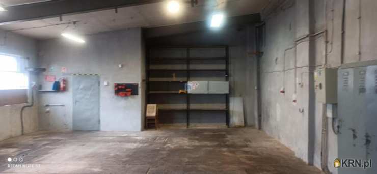 Lokal użytkowy  do wynajęcia, 3 pokojowe, Gliwice, ul. 