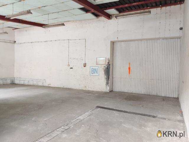 Gliwice, ul. , Lokal użytkowy  do wynajęcia, 1 pokojowe