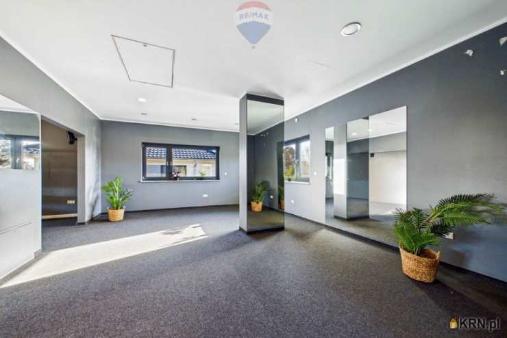 Lokal użytkowy  do wynajęcia, Zielona Góra, ul. , 