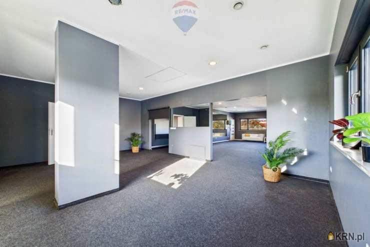 Lokal użytkowy  do wynajęcia, , Zielona Góra, ul. 