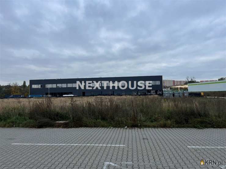 , Gliwice, ul. , Lokal użytkowy  do wynajęcia