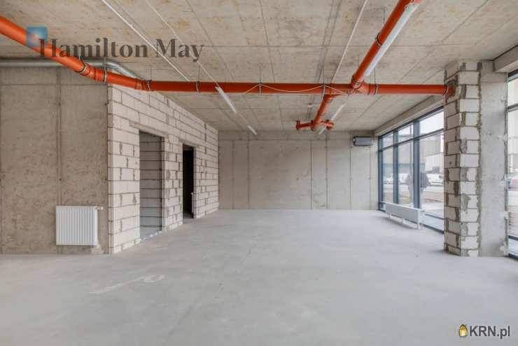 Hamilton May, Lokal użytkowy  do wynajęcia, Kraków, Podgórze, ul. Portowa