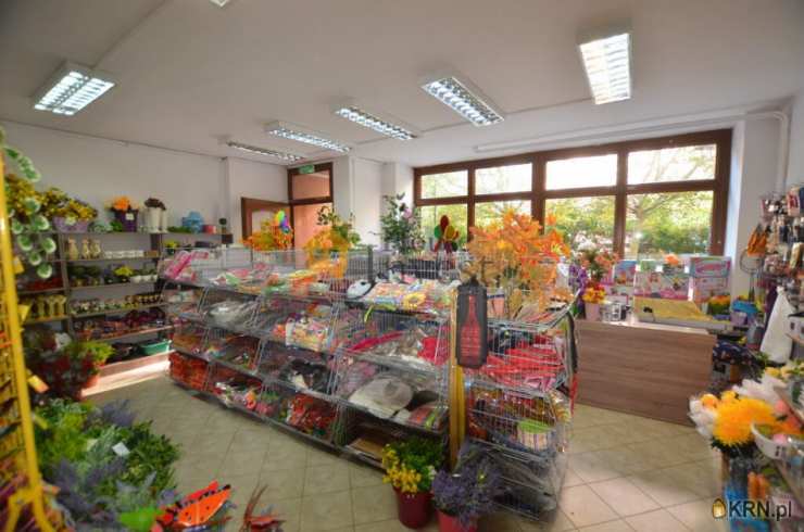 , Legnica, ul. , Lokal użytkowy  do wynajęcia