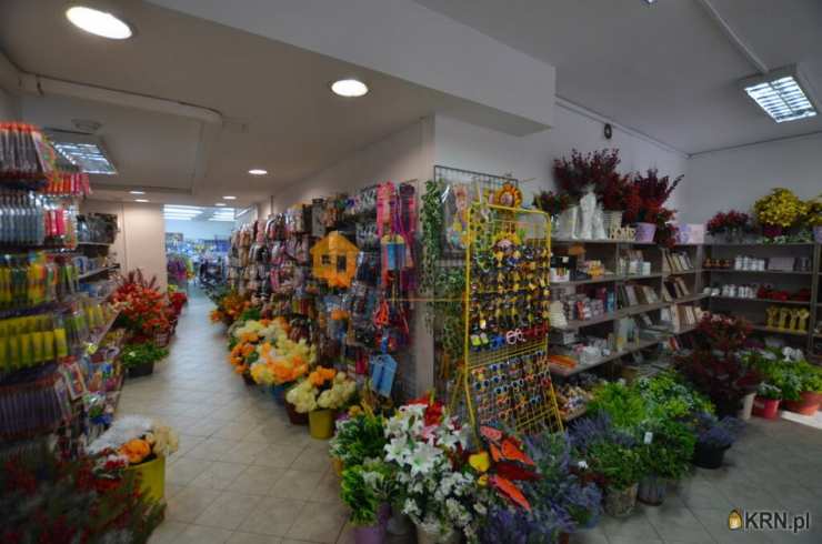 Legnica, ul. , , Lokal użytkowy  do wynajęcia