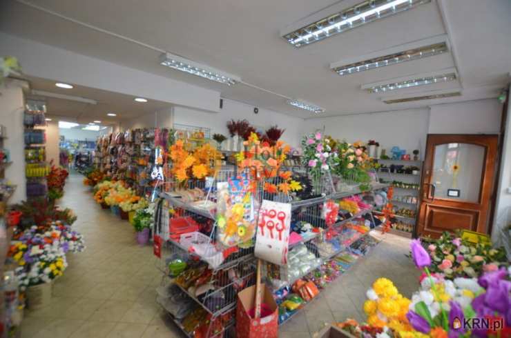 , Legnica, ul. , Lokal użytkowy  do wynajęcia