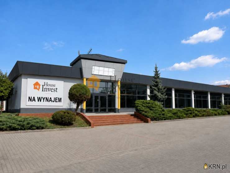 Polkowice, ul. , Lokal użytkowy  do wynajęcia, 