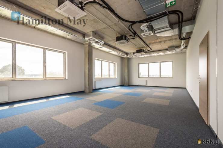 Kraków, Podgórze/Rybitwy, ul. , Lokal użytkowy  do wynajęcia, 