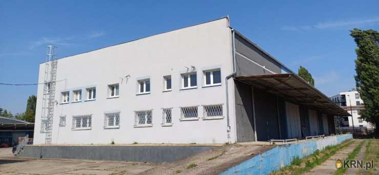 Lokal użytkowy  do wynajęcia, Poznań, Jeżyce, ul. Druskienicka, 