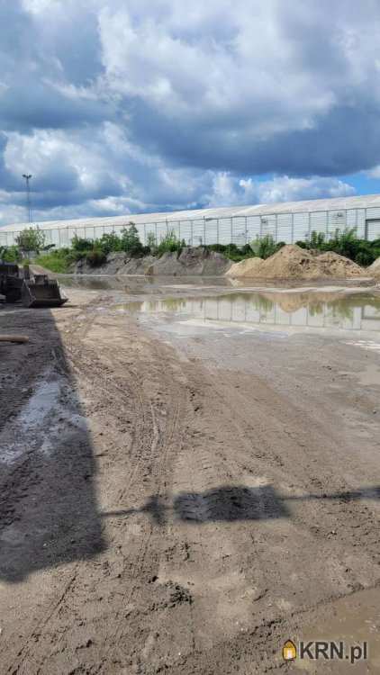 , Opole, ul. , Lokal użytkowy  do wynajęcia