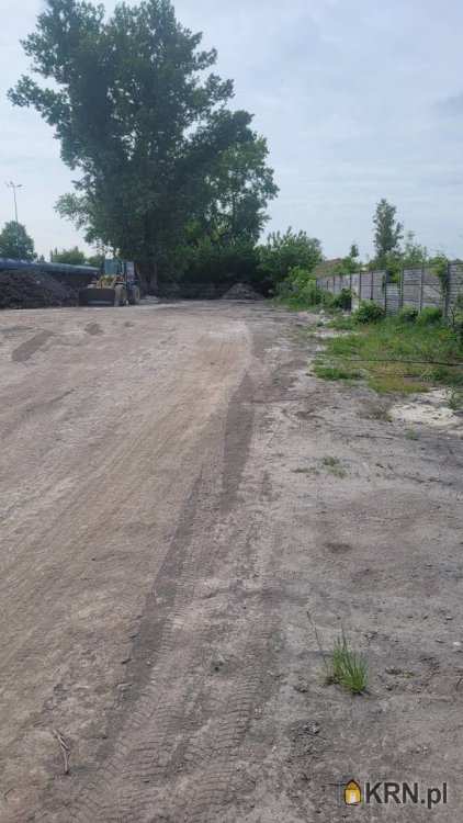 Lokal użytkowy  do wynajęcia, , Opole, ul. 