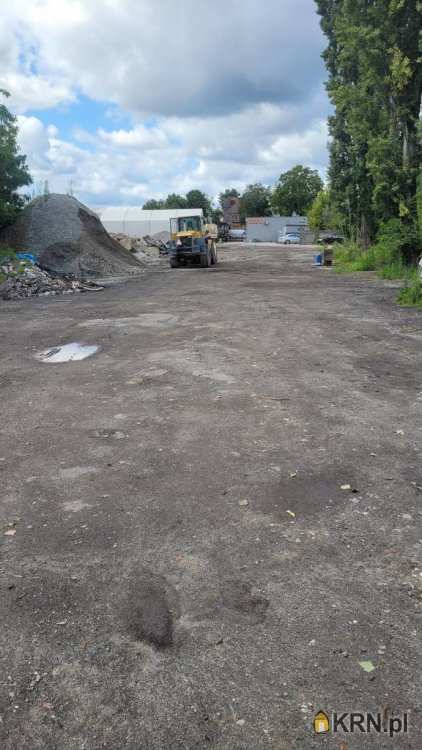 Opole, ul. , Lokal użytkowy  do wynajęcia, 