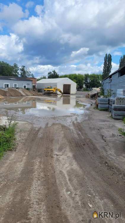 , Lokal użytkowy  do wynajęcia, Opole, ul. 