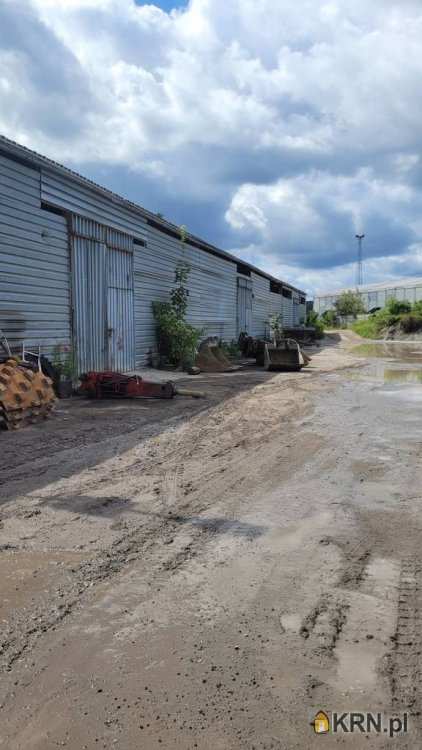, Lokal użytkowy  do wynajęcia, Opole, ul. 