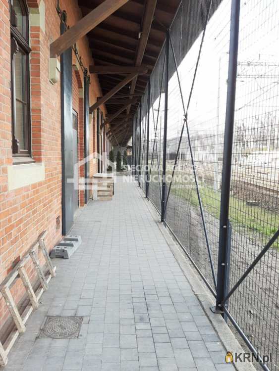 Lokal użytkowy  do wynajęcia, Gdańsk, Śródmieście, ul. , 